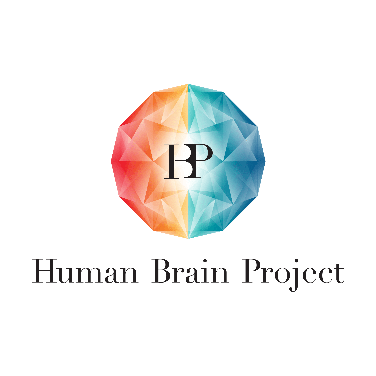 The Human Brain Project